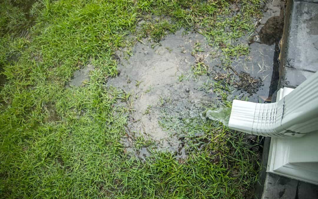 Stop the Swamp: 5 Best Fixes to Keep Your Yard Dry and Your Foundation Safe