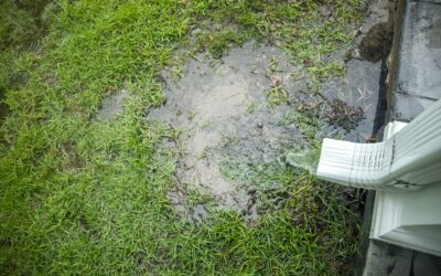 Stop the Swamp: 5 Best Fixes to Keep Your Yard Dry and Your Foundation Safe