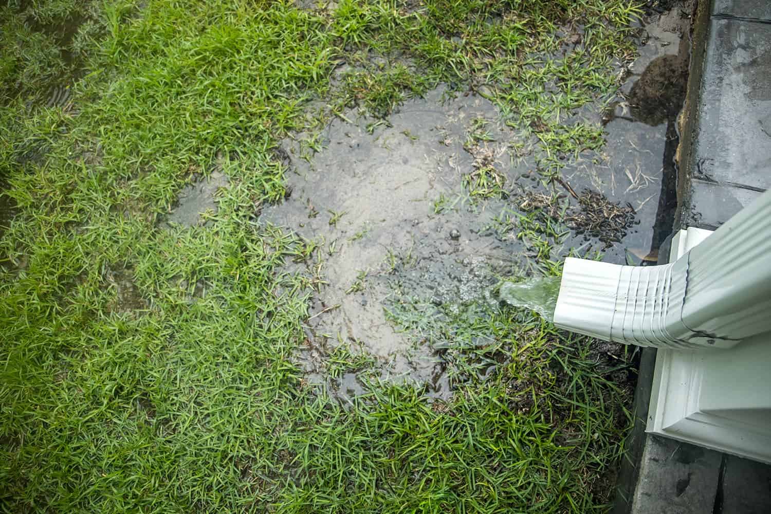 A puddle of water on the grass next to a house